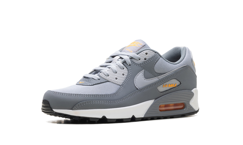 "Cool Grey Sundial" Air Max 90 HV6224 002 - product image from the listing.