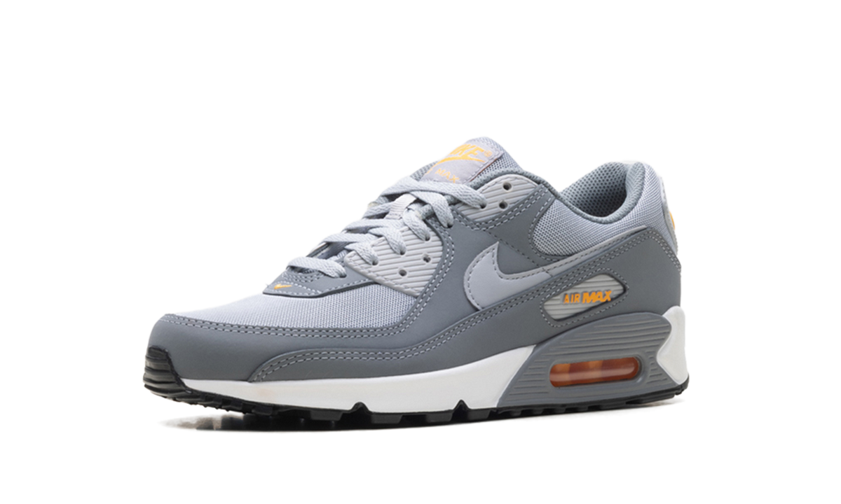 "Cool Grey Sundial" Air Max 90 HV6224 002 - product image from the listing.