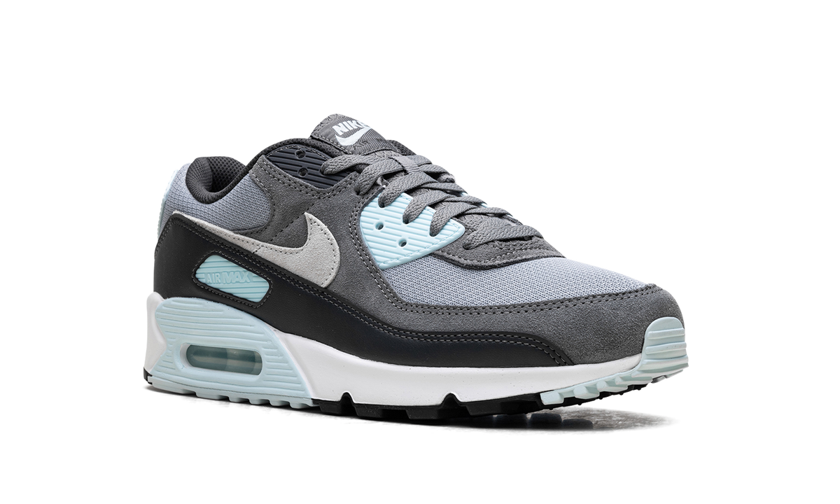 "Pumice" Air Max 90 DM0029 009 - product image from the listing.