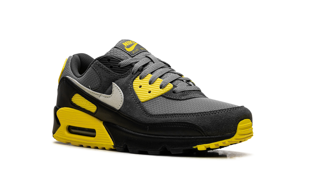 "Smoke Grey Lightning" Air Max 90 DM0029 016 - product image from the listing.