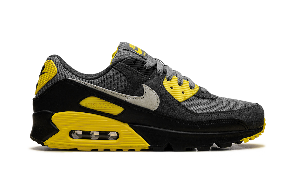 "Smoke Grey Lightning" Air Max 90 DM0029 016 - product image from the listing.