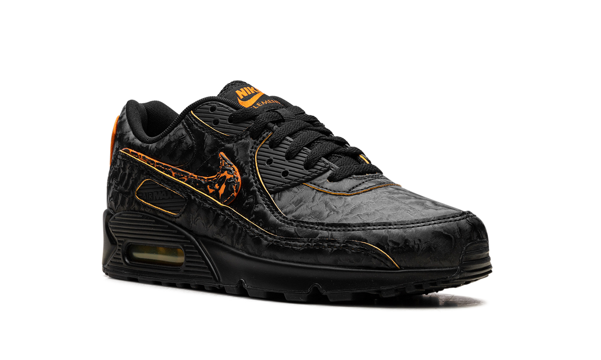 "Volcano" Air Max 90 HF3248 001 - product image from the listing.