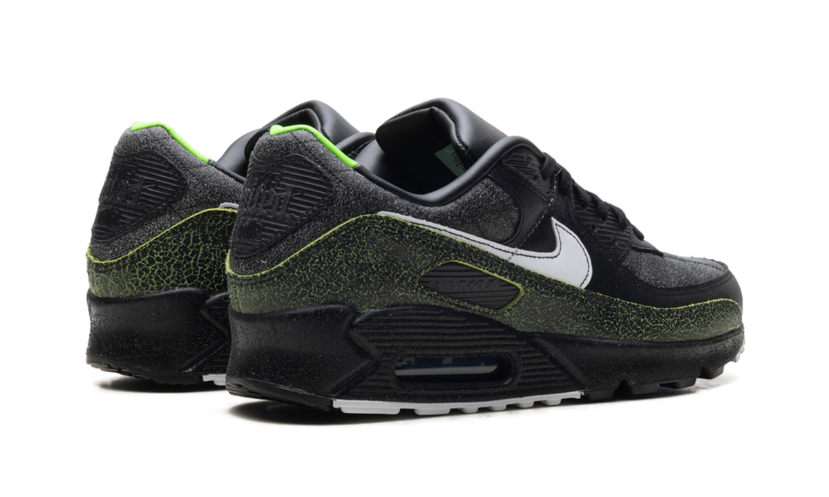 "Tiempo 2005" Air Max 90 IU0523 010 - product image from the listing.