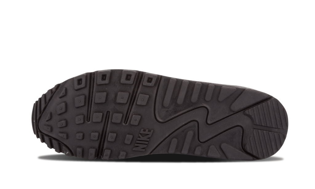 "Sunset Pack" Air Max 90 EM 554719 887 - product image from the listing.
