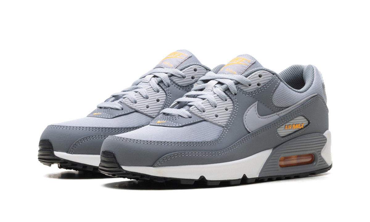 "Cool Grey Sundial" Air Max 90 HV6224 002 - product image from the listing.