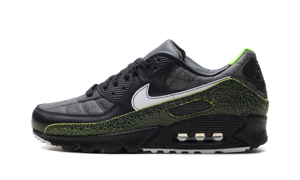 "Tiempo 2005" Air Max 90 IU0523 010 - product image from the listing.