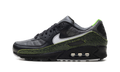 "Tiempo 2005" Air Max 90 IU0523 010 - product image from the listing.