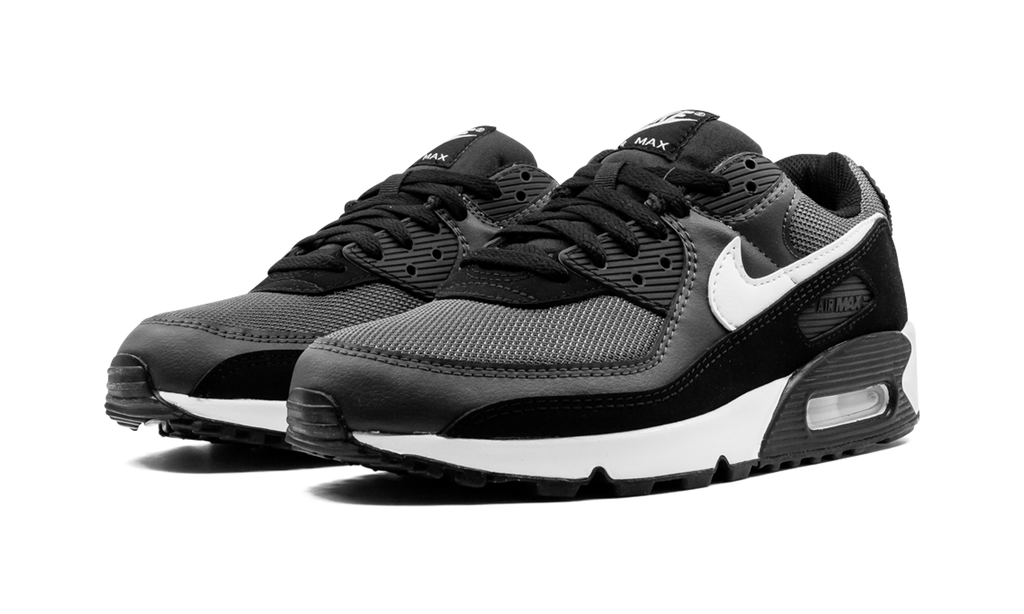"Iron Grey" Air Max 90 CN8490 002 - product image from the listing.