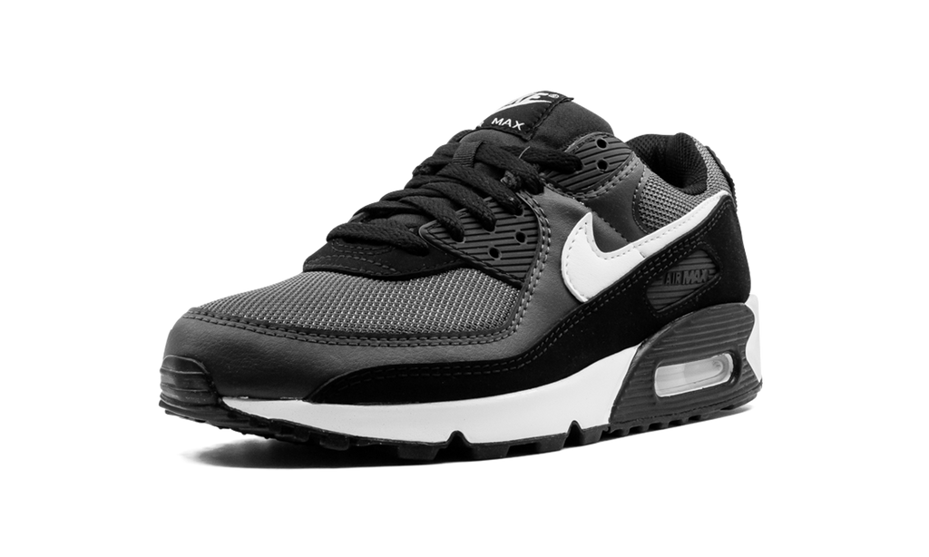 "Iron Grey" Air Max 90 CN8490 002 - product image from the listing.