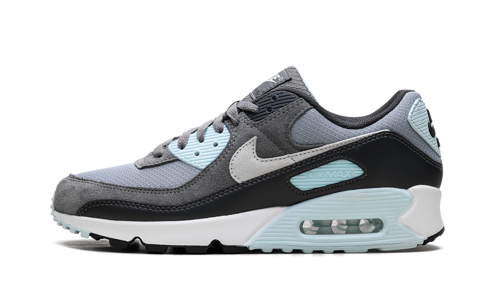 "Pumice" Air Max 90 DM0029 009 - product image from the listing.