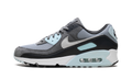 "Pumice" Air Max 90 DM0029 009 - product image from the listing.