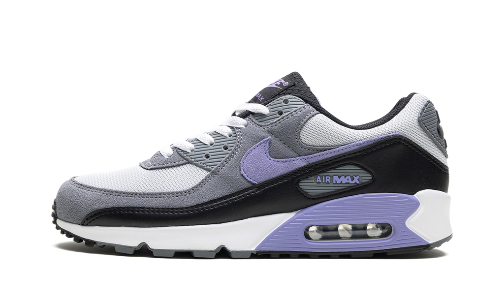 "Light Thistle" Air Max 90 DM0029 014 - product image from the listing.