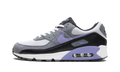 "Light Thistle" Air Max 90 DM0029 014 - product image from the listing.