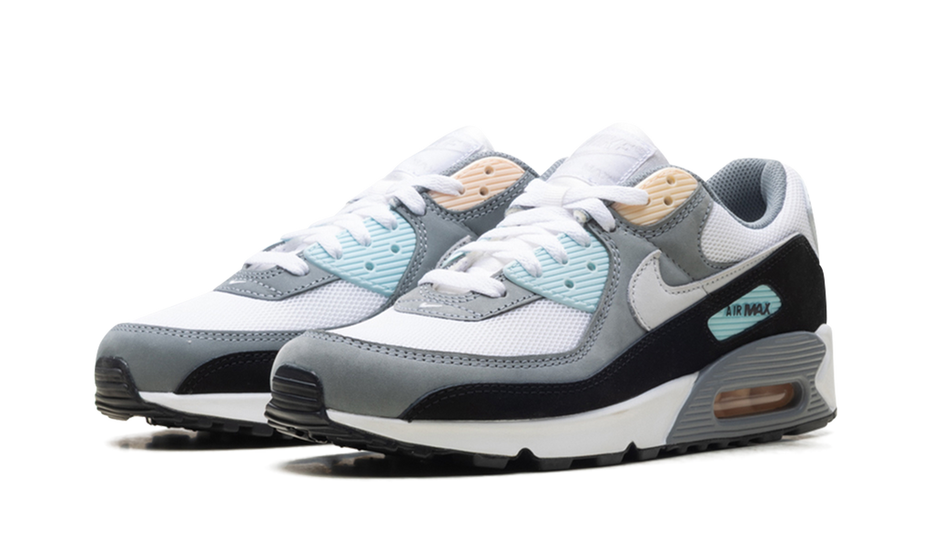 "Cool Grey Pure Platinum Black" Air Max 90 IB7674 001 - product image from the listing.