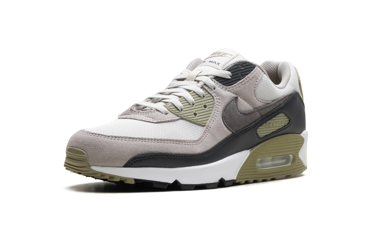 "Light Bone Neutral Olive" Air Max 90 DM0029 011 - product image from the listing.