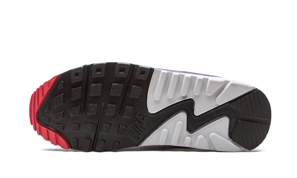 Women's Air Max 90 "Eggplant" CW1360 100 - product image from the listing.
