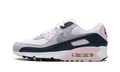 "Pink Foam Armory Navy" Air Max 90 DM0029 106 - product image from the listing.