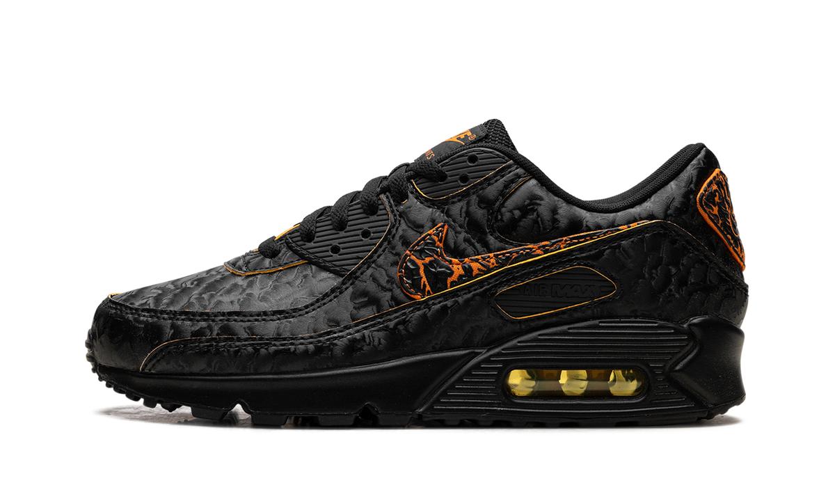 "Volcano" Air Max 90 HF3248 001 - product image from the listing.