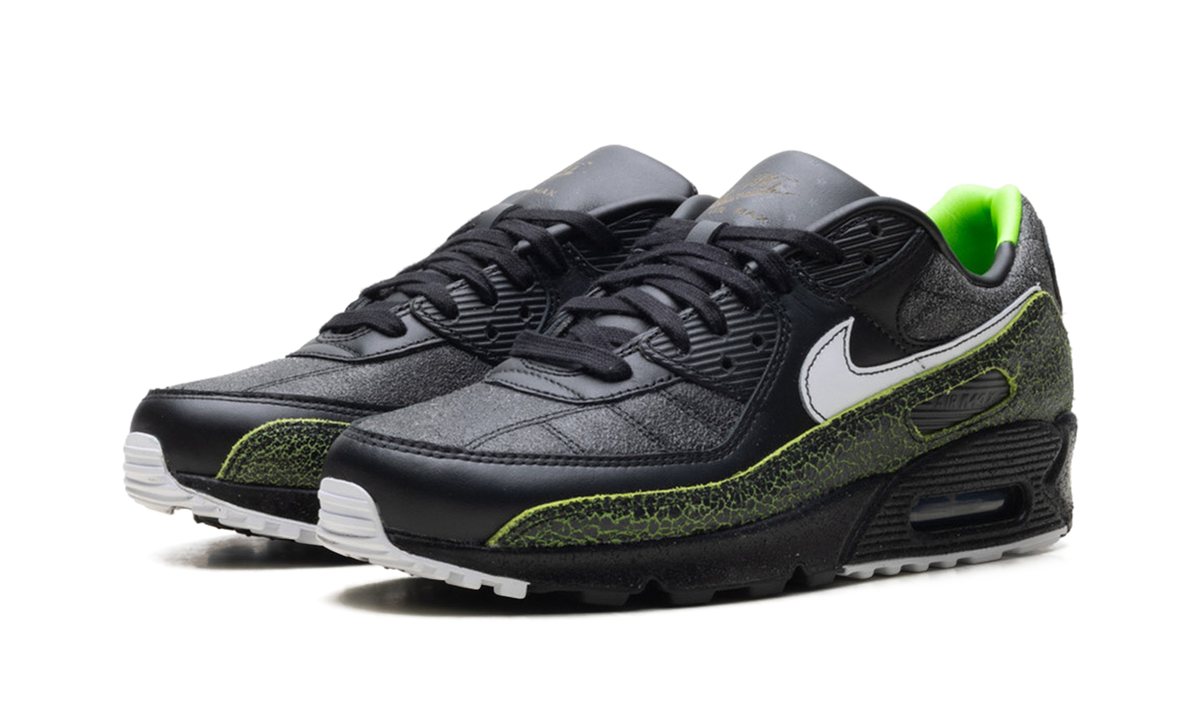 "Tiempo 2005" Air Max 90 IU0523 010 - product image from the listing.