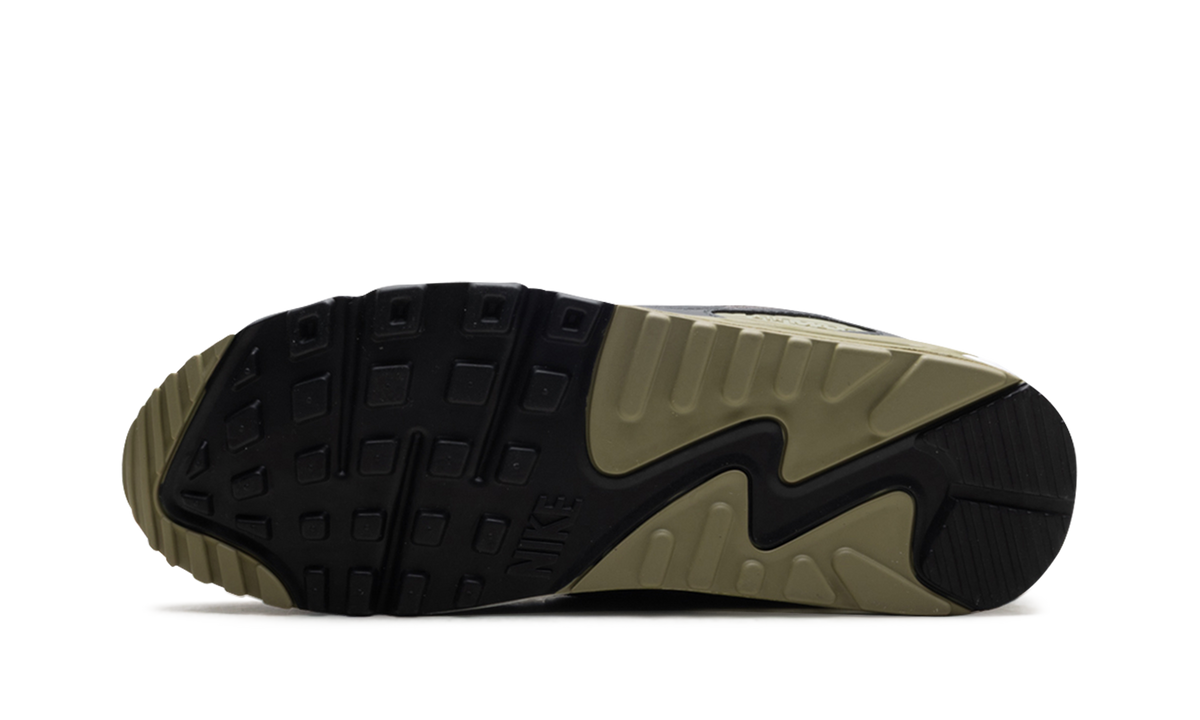 "Light Bone Neutral Olive" Air Max 90 DM0029 011 - product image from the listing.