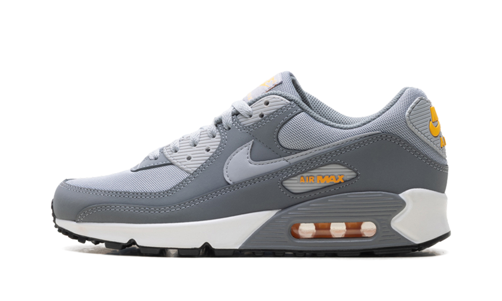 "Cool Grey Sundial" Air Max 90 HV6224 002 - product image from the listing.