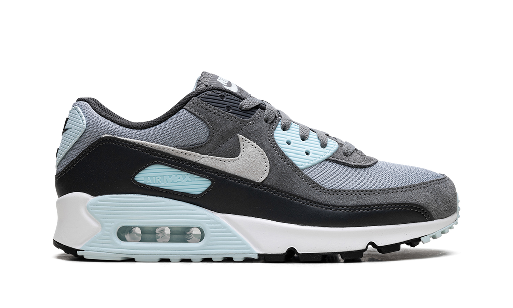 "Pumice" Air Max 90 DM0029 009 - product image from the listing.