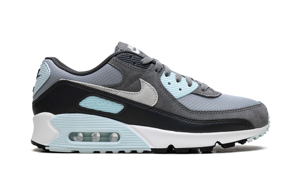 "Pumice" Air Max 90 DM0029 009 - product image from the listing.