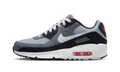 "Wolf Gray / White" Air Max 90 GS HF6358 007 - product image from the listing.