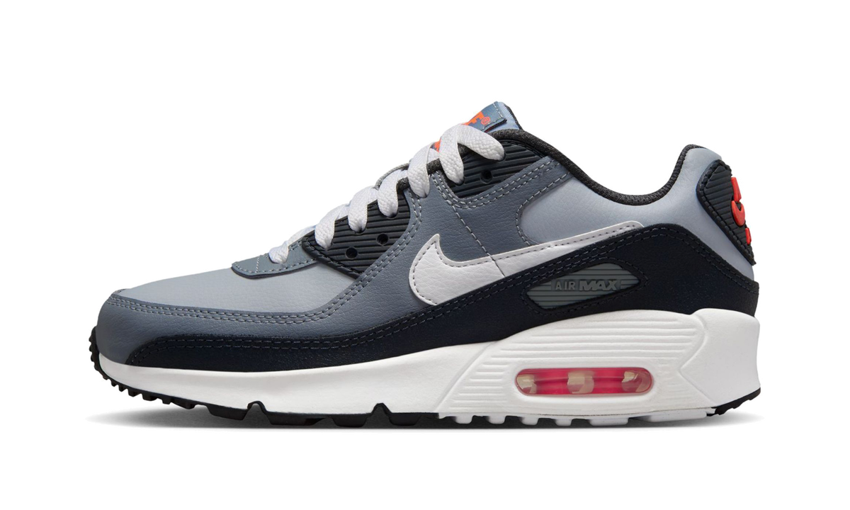 "Wolf Gray / White" Air Max 90 GS HF6358 007 - product image from the listing.