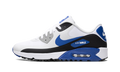 "Game Royal" Air Max 90 Golf DX5999 141 - product image from the listing.