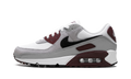 "Dark Team Red'" FN6958 101 - Air Max 90 - product image from the listing.