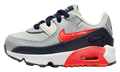 "Light Smoke Grey Bright Crimson" Air Max 90 Leather TD CD6868 021 - product image from the listing.