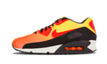 "Sunset Pack" Air Max 90 EM 554719 887 - product image from the listing.