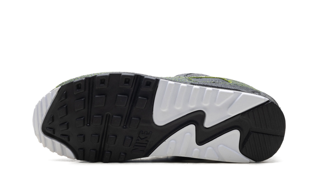 "Tiempo 2005" Air Max 90 IU0523 010 - product image from the listing.
