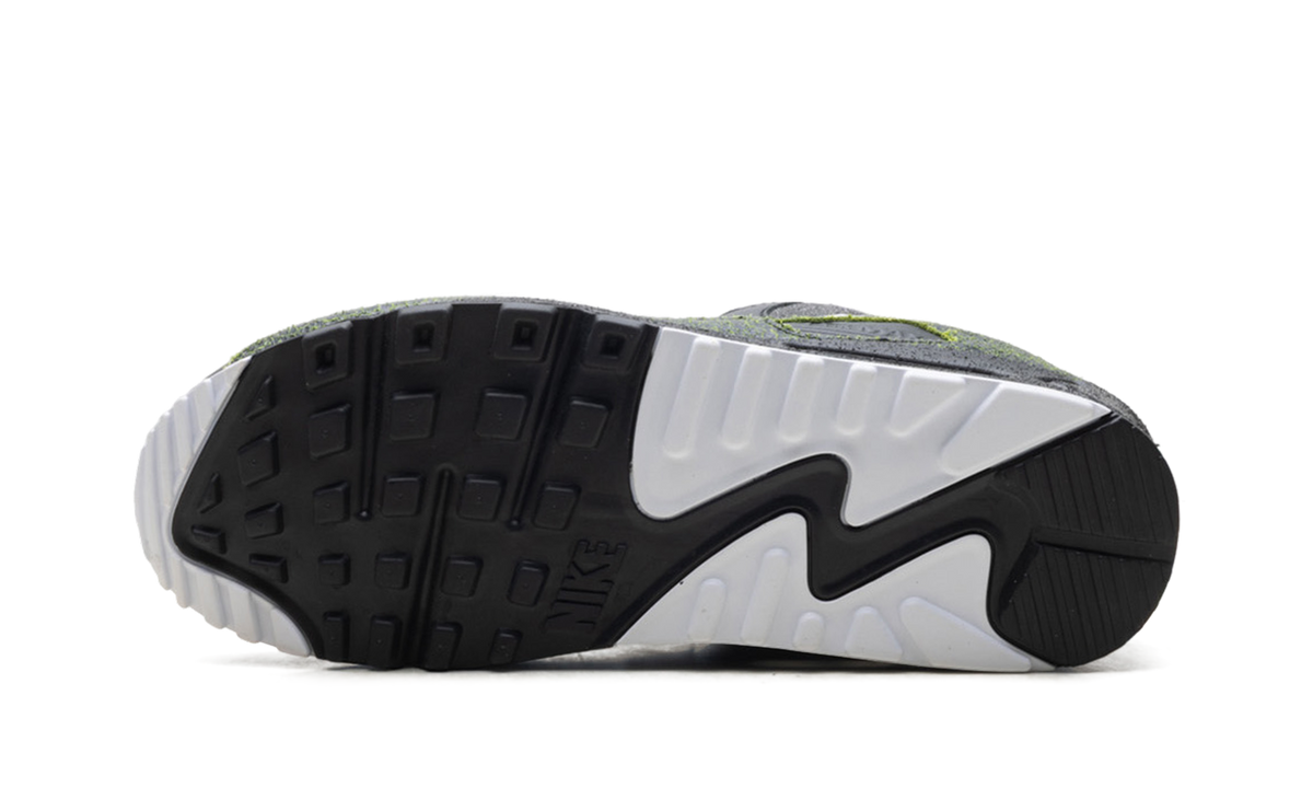 "Tiempo 2005" Air Max 90 IU0523 010 - product image from the listing.