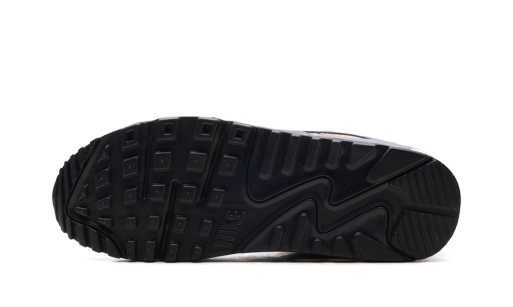 "Cool Grey Sundial" Air Max 90 HV6224 002 - product image from the listing.