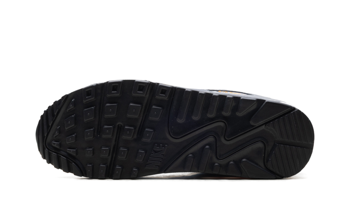 "Cool Grey Sundial" Air Max 90 HV6224 002 - product image from the listing.