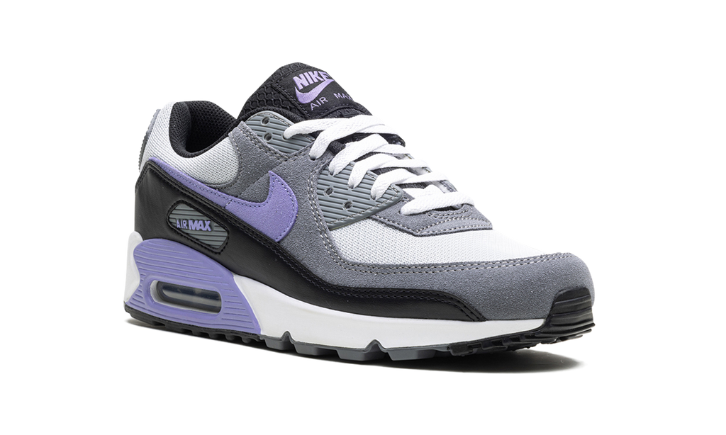 "Light Thistle" Air Max 90 DM0029 014 - product image from the listing.