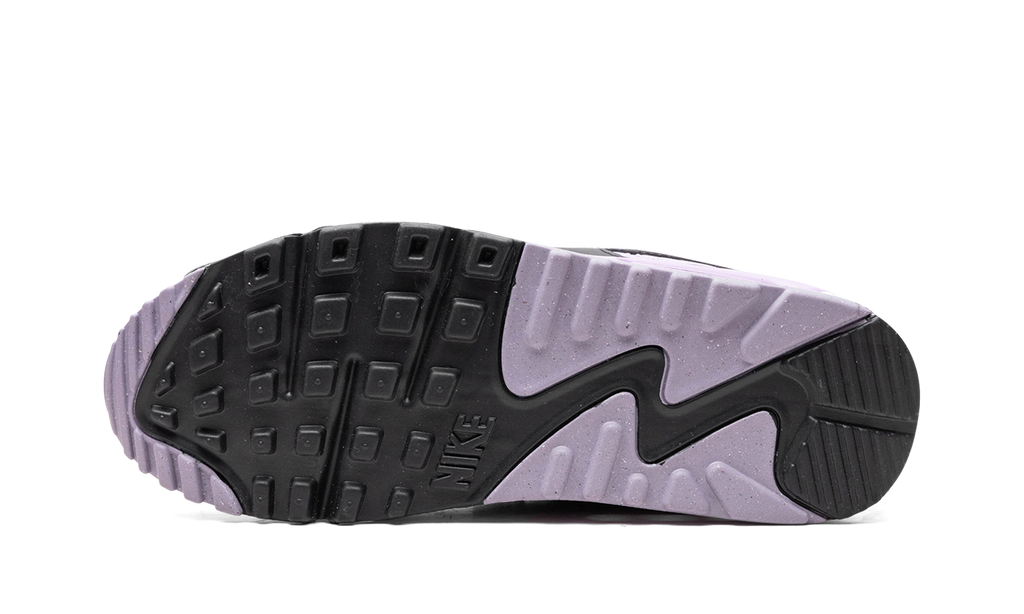 Women's Air Max 90 "White Lilac" DH8010 103 - product image from the listing.