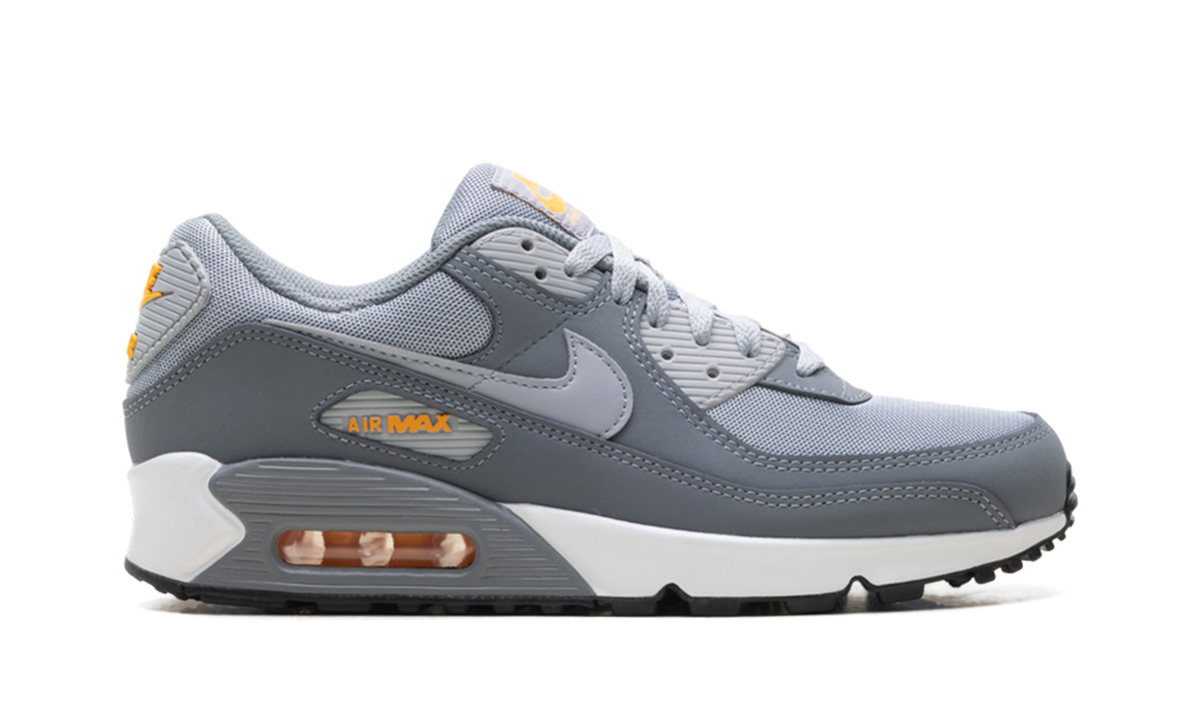 "Cool Grey Sundial" Air Max 90 HV6224 002 - product image from the listing.