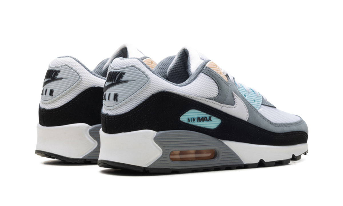 "Cool Grey Pure Platinum Black" Air Max 90 IB7674 001 - product image from the listing.