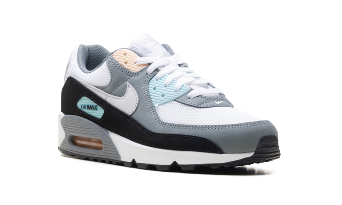 "Cool Grey Pure Platinum Black" Air Max 90 IB7674 001 - product image from the listing.