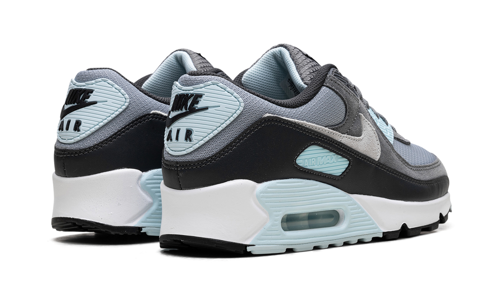 "Pumice" Air Max 90 DM0029 009 - product image from the listing.