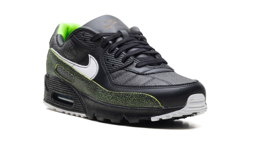 "Tiempo 2005" Air Max 90 IU0523 010 - product image from the listing.