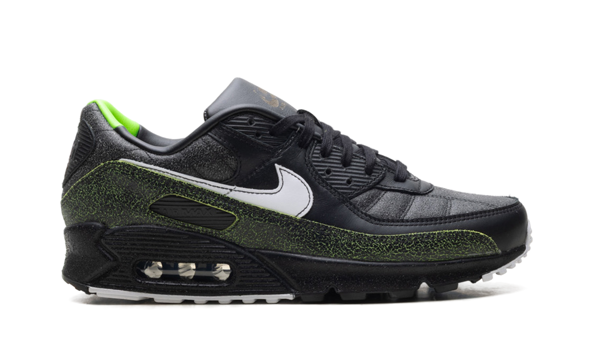 "Tiempo 2005" Air Max 90 IU0523 010 - product image from the listing.