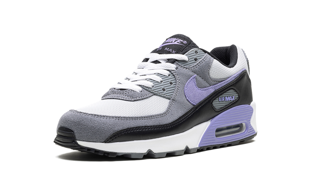 "Light Thistle" Air Max 90 DM0029 014 - product image from the listing.