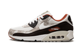 "Social FC" AIR MAX 90 SE DX3576 001 - product image from the listing.