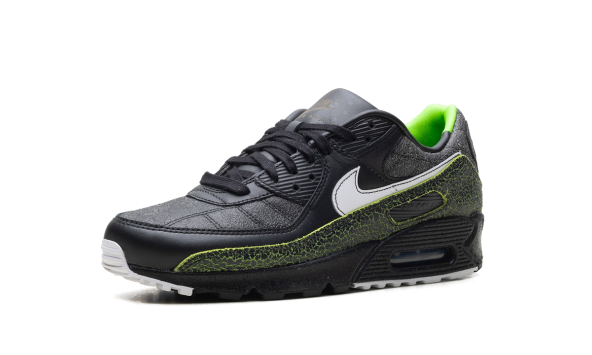 "Tiempo 2005" Air Max 90 IU0523 010 - product image from the listing.