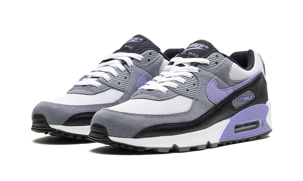 "Light Thistle" Air Max 90 DM0029 014 - product image from the listing.