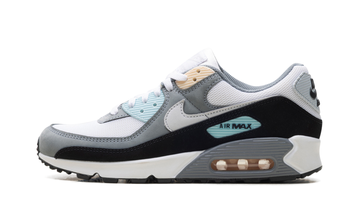 "Cool Grey Pure Platinum Black" Air Max 90 IB7674 001 - product image from the listing.